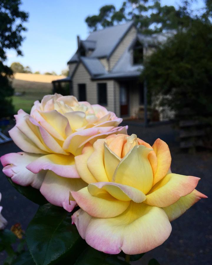 Brigadoon Cottages Haunted Hills Extérieur photo