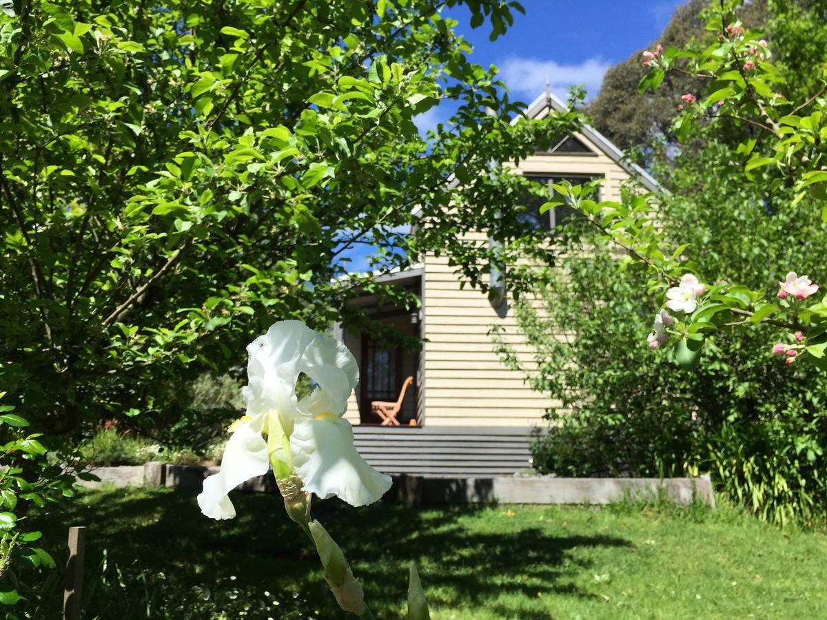 Brigadoon Cottages Haunted Hills Extérieur photo